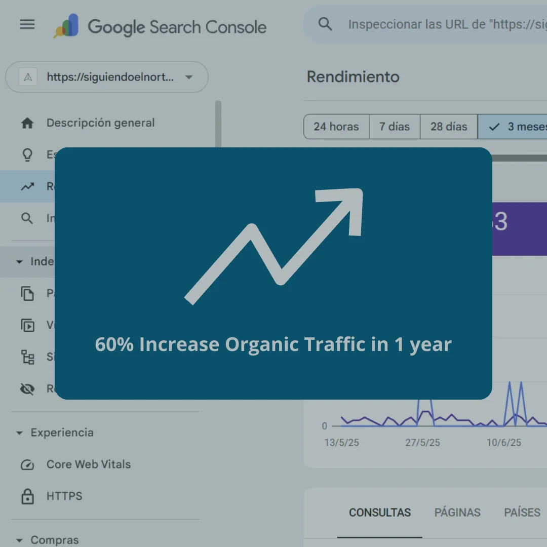 Organic Traffic Increase