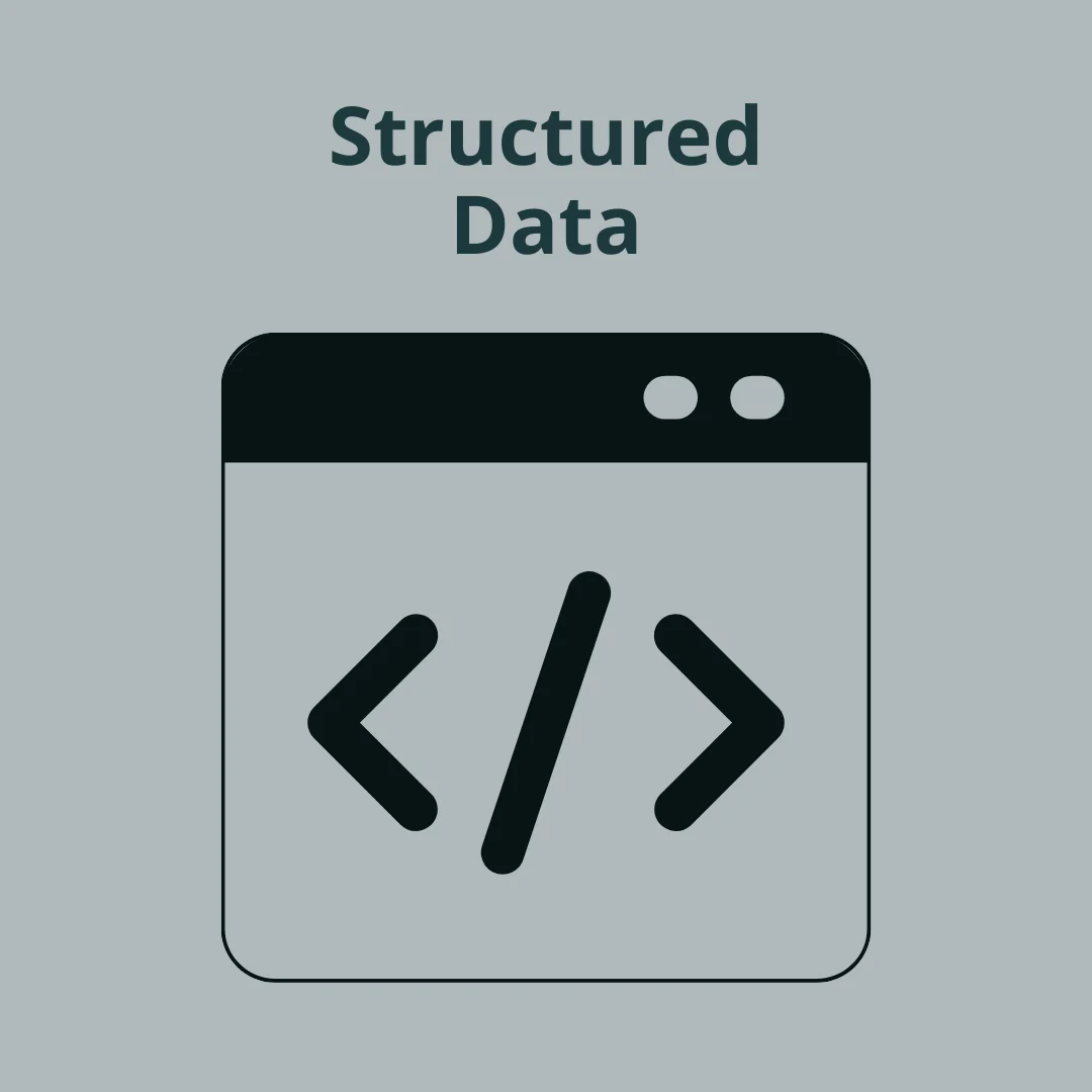 Website Structured Data